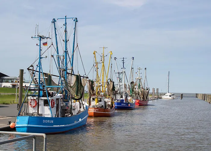 Kiebitzstieg 22 8 دورم نيوفيلد